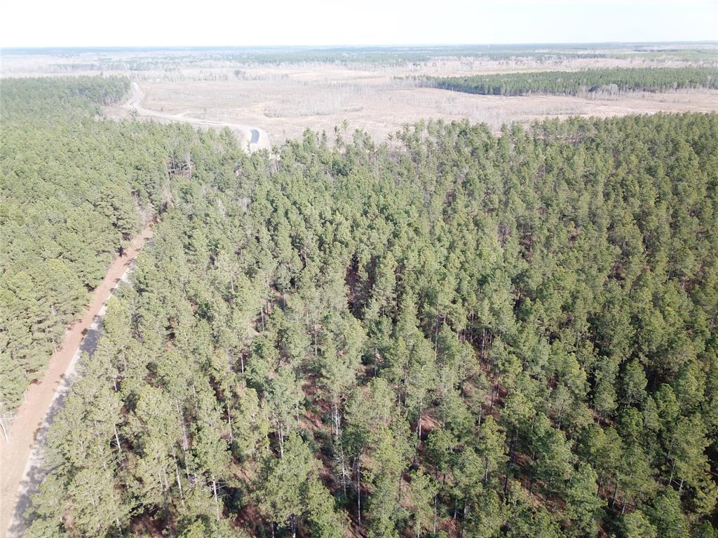 0 Old Pleasant Hill Road Zwolle, LA 71486 - Photo 12 of 16 a view of an ocean and beach