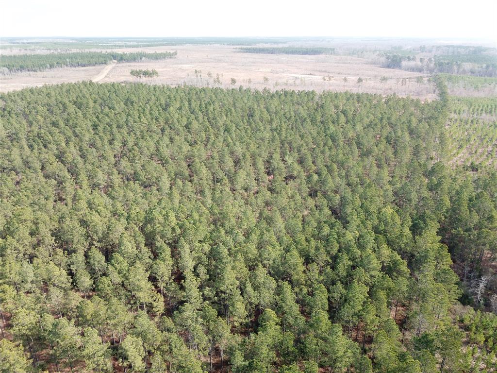 0 Old Pleasant Hill Road Zwolle, LA 71486 - Photo 13 of 16 a view of an ocean and beach