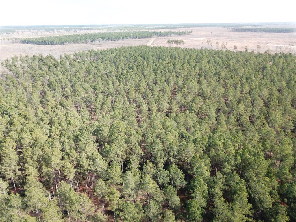 0 Old Pleasant Hill Road Zwolle, LA 71486 - Photo 14 of 16 a view of a lake with a field