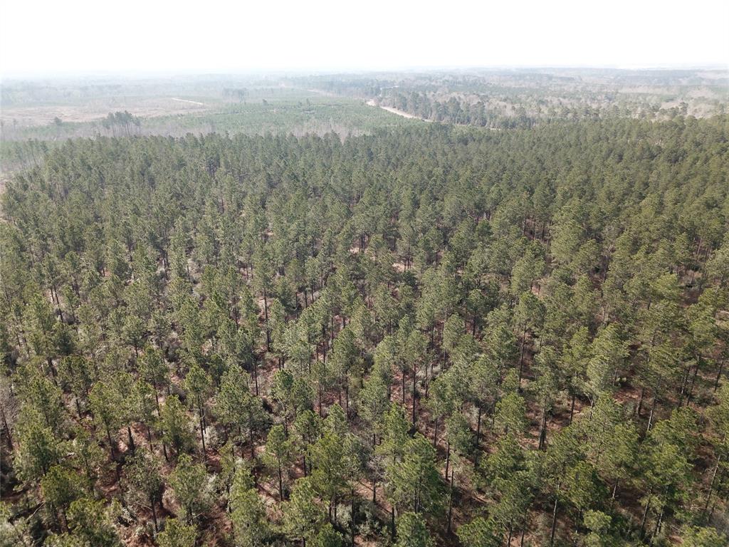 0 Old Pleasant Hill Road Zwolle, LA 71486 - Photo 3 of 16 a view of a city with lush green forest
