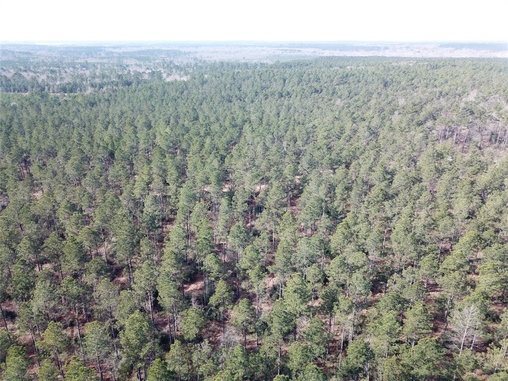 0 Old Pleasant Hill Road Zwolle, LA 71486 - Photo 4 of 16 a view of a field with trees in the background