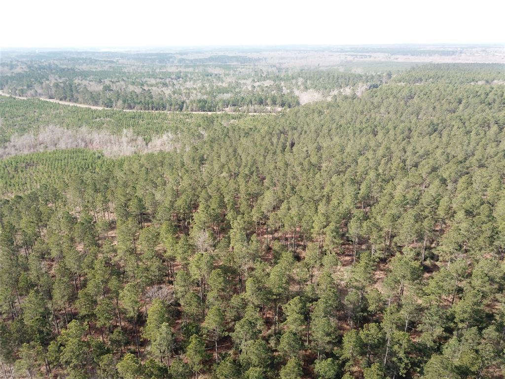 0 Old Pleasant Hill Road Zwolle, LA 71486 - Photo 5 of 16