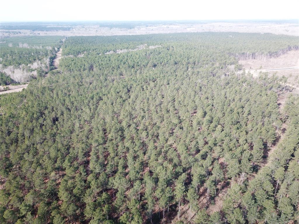 0 Old Pleasant Hill Road Zwolle, LA 71486 - Photo 8 of 16 a view of a field with mountains in the background