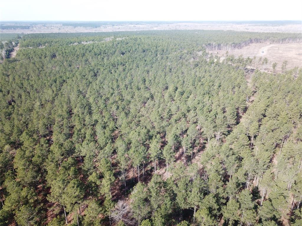 0 Old Pleasant Hill Road Zwolle, LA 71486 - Photo 9 of 16 a view of a city with an outdoor space