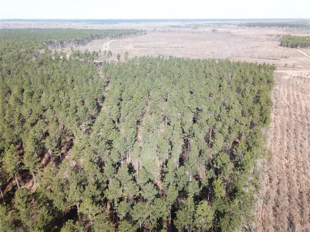 0 Old Pleasant Hill Road Zwolle, LA 71486 - Photo 10 of 16 a view of a lake with beach and mountain view