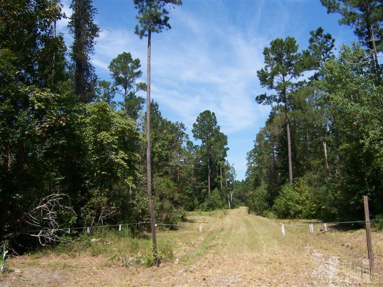 11 Scott Road Rocky Point, NC 28457 - Photo 4 of 10 Additional Photo