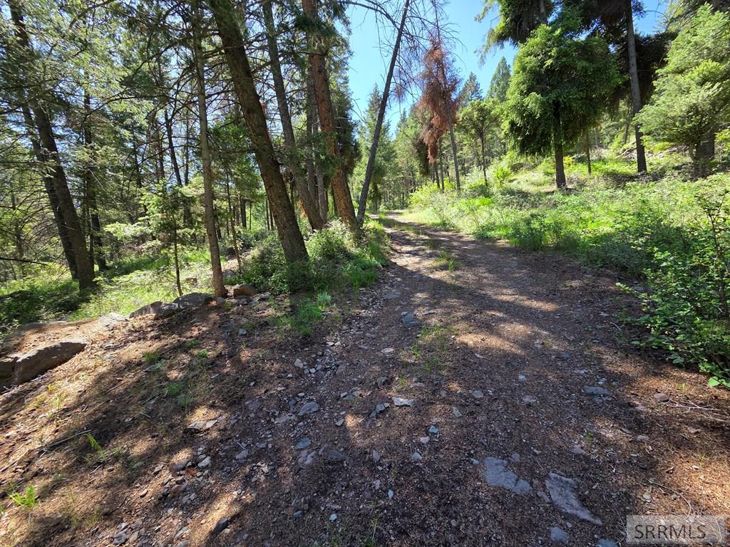 21 Pinetree Drive Salmon, ID 83467 - Photo 52 of 71