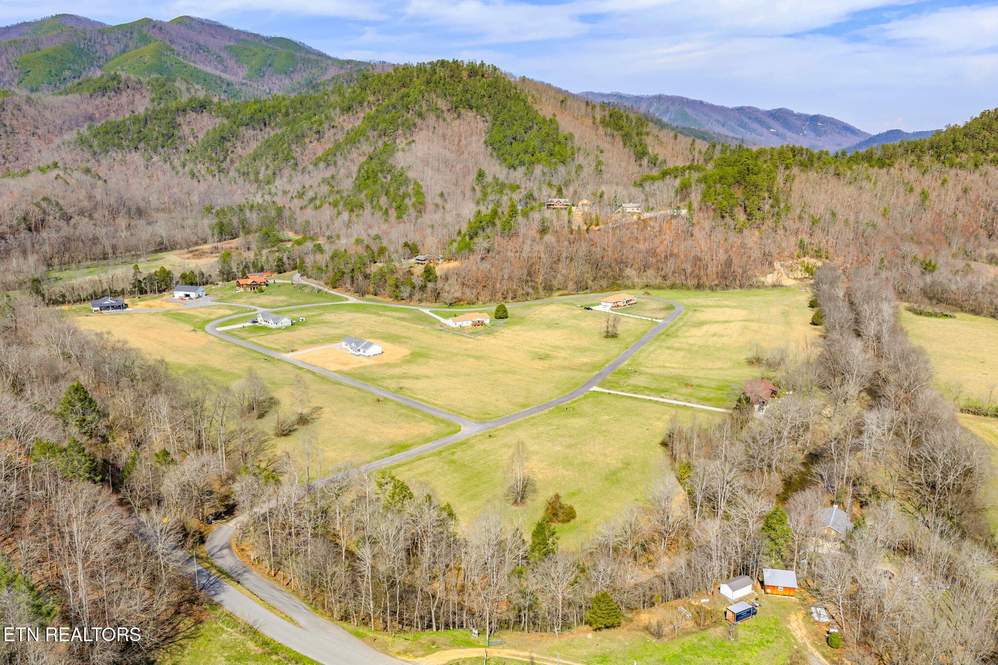 680 Kaylee Lane Del Rio, TN 37727 - Photo 37 of 41 a view of swimming pool with a yard