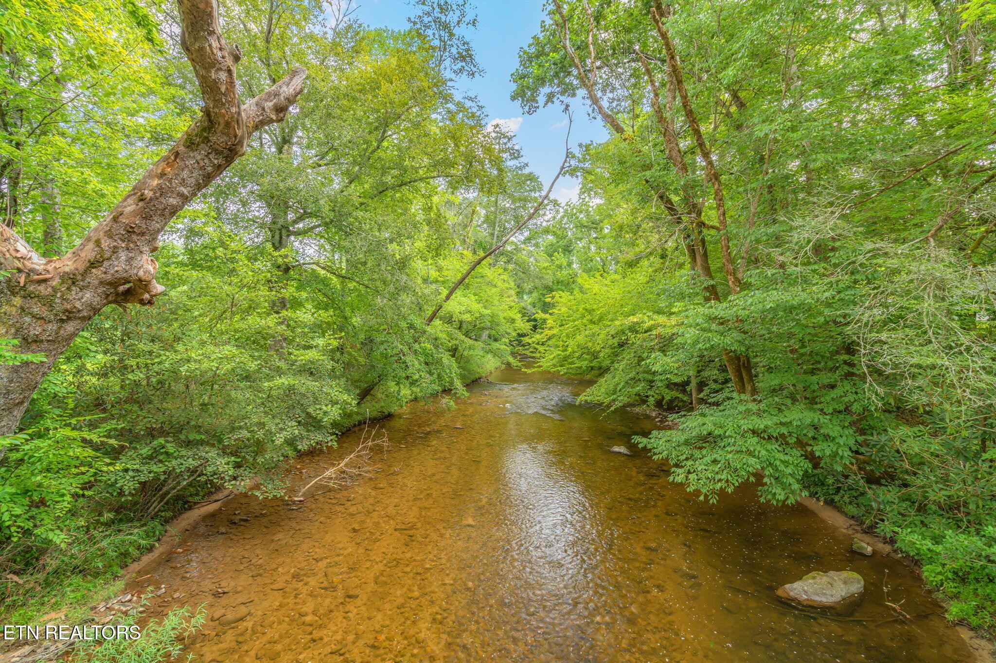 680 Kaylee Lane Del Rio, TN 37727 - Photo 41 of 41 a view of a lake with houses
