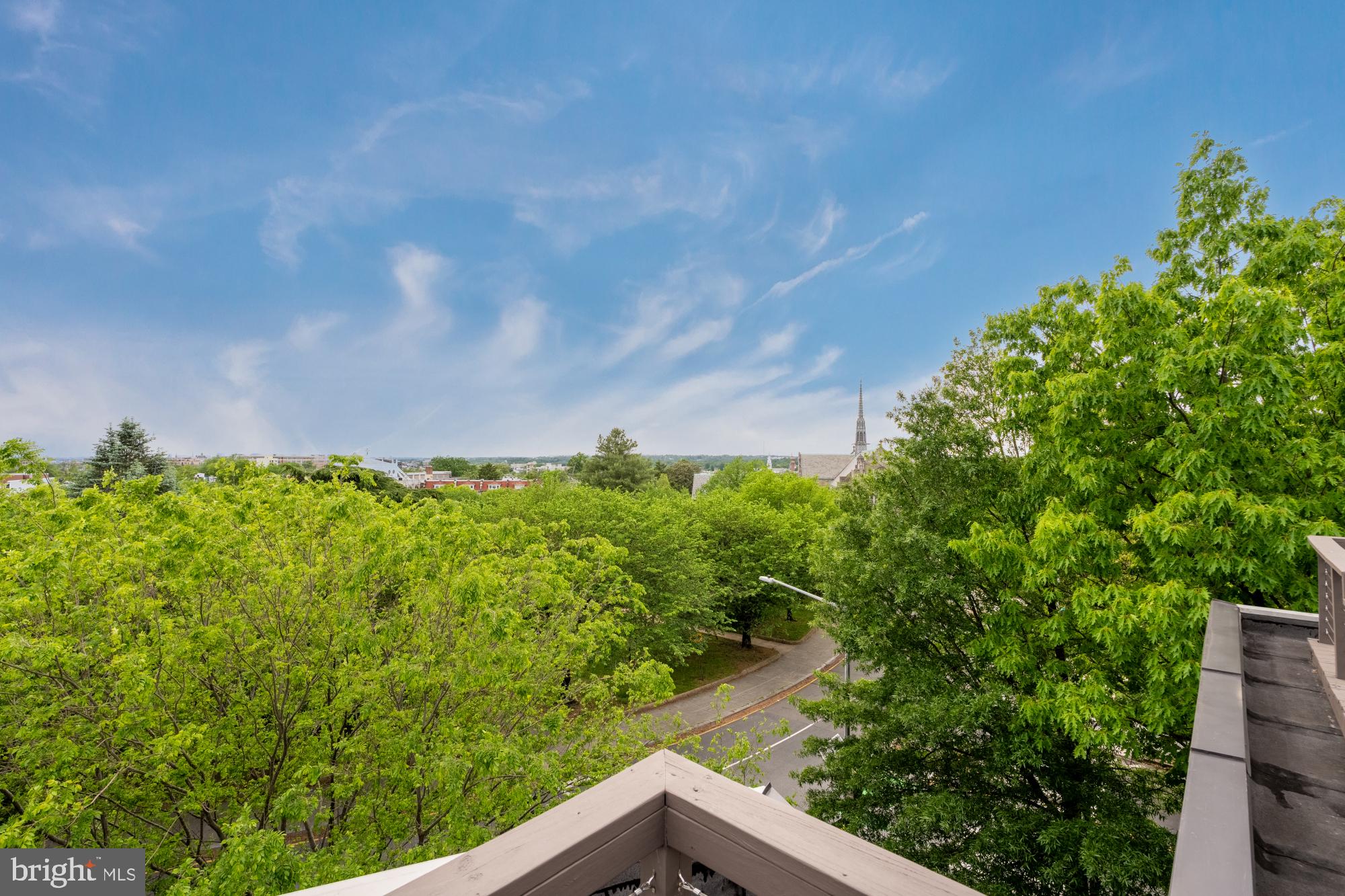 16 Grant Circle Northwest, Unit 2 Washington, DC 20011 - Photo 29 of 35 a view of a garden with plants and a bench