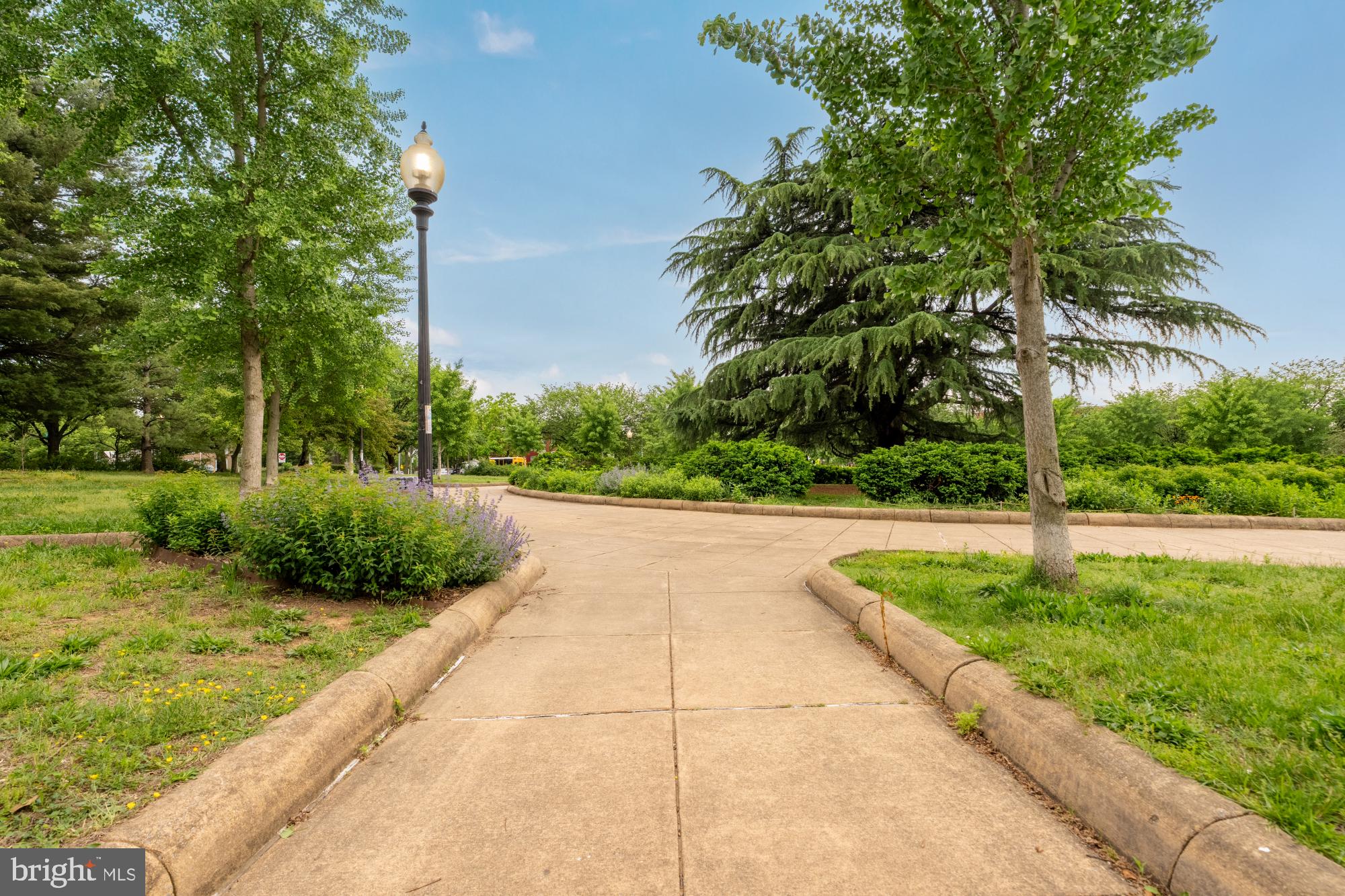 16 Grant Circle Northwest, Unit 2 Washington, DC 20011 - Photo 33 of 35 a view of backyard with green space