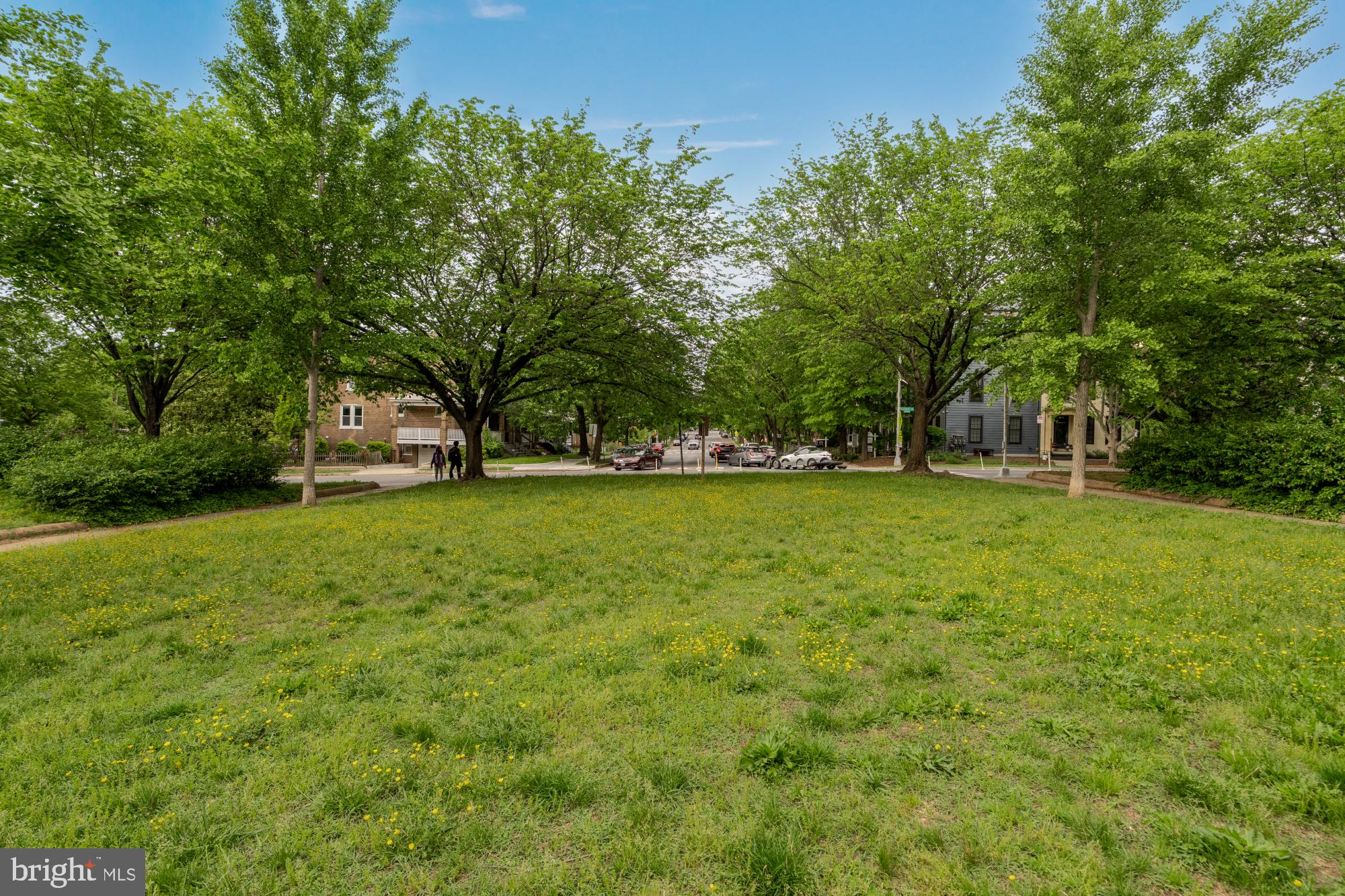 16 Grant Circle Northwest, Unit 2 Washington, DC 20011 - Photo 35 of 35 a view of green field with trees in the background