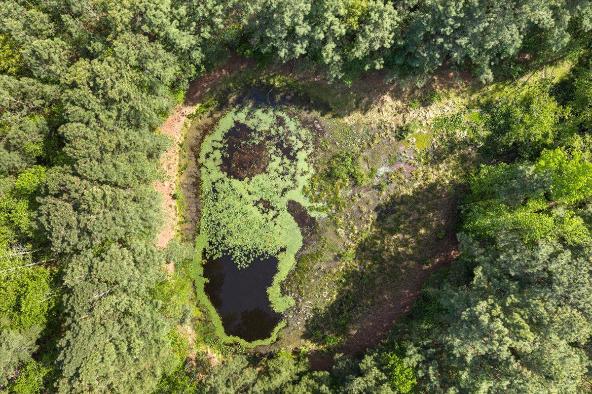 Lot 96 Sturgeon Road Lawrenceville, VA 23868 - Photo 6 of 23