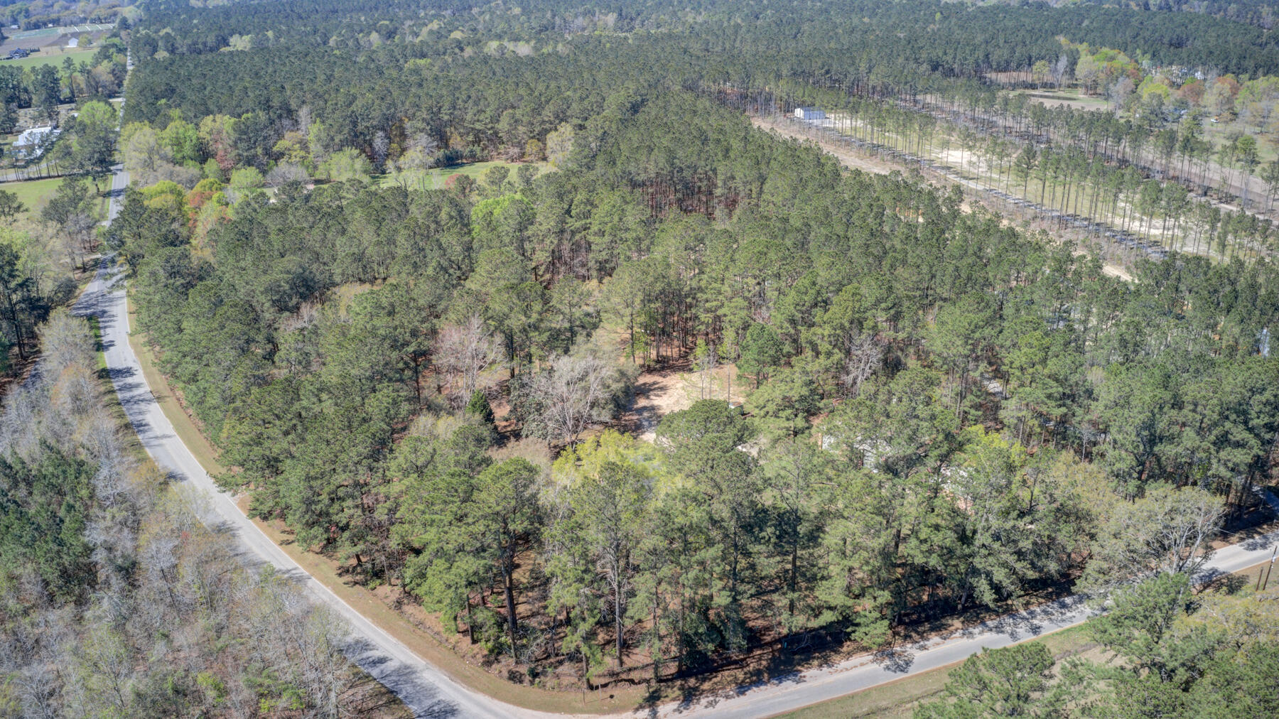 355 County Rd S-18-182 Ridgeville, SC 29472 - Photo 49 of 56 355 Meyers Mayo Rd, Ridgeville SC (53)