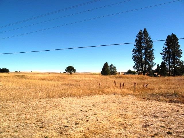 17111 South Cardinal Road Cheney, WA 99004 - Photo 17 of 20