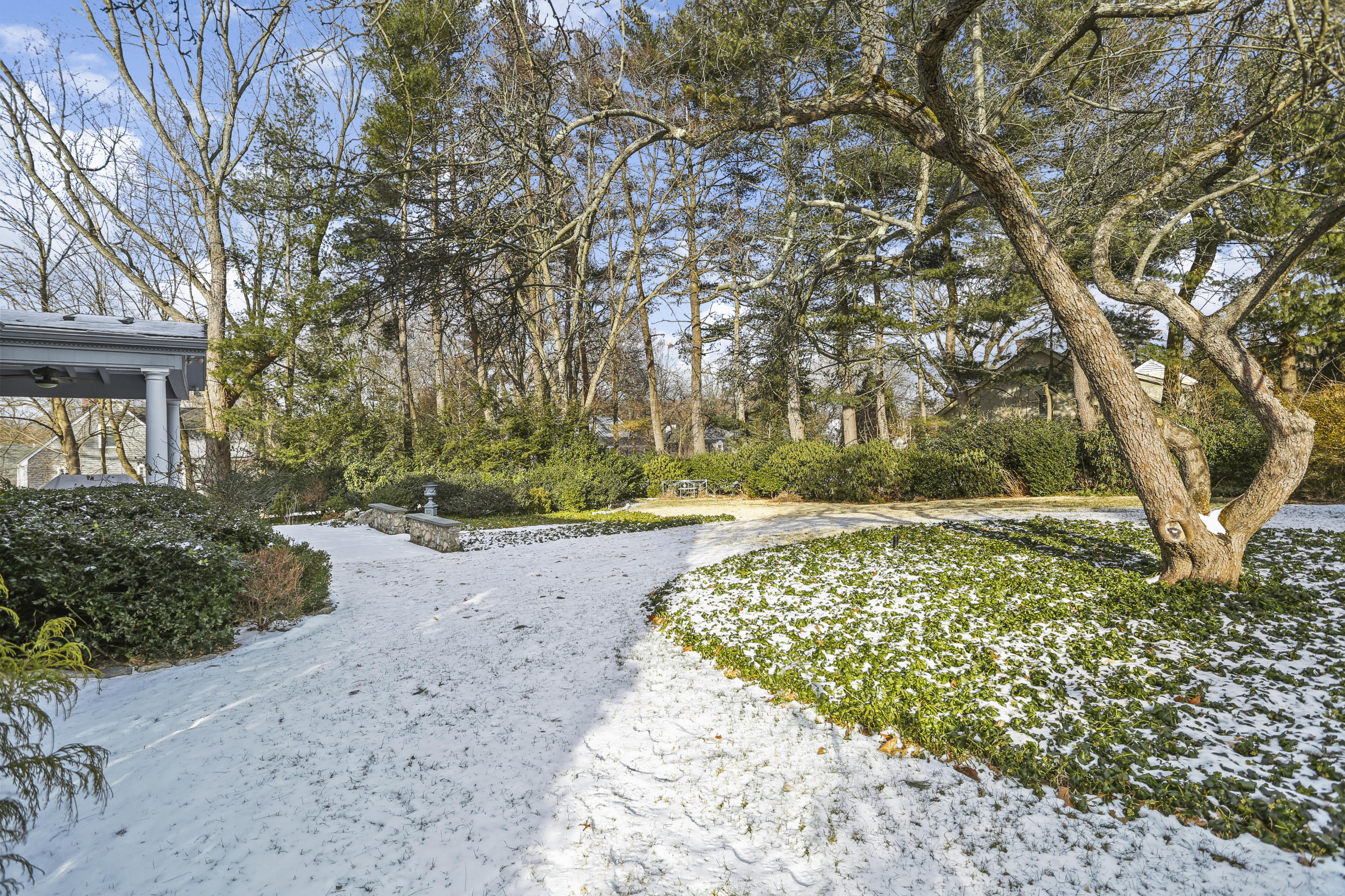6 Echo Drive Darien, CT 06820 - Photo 29 of 37 a view of a yard with plants and trees