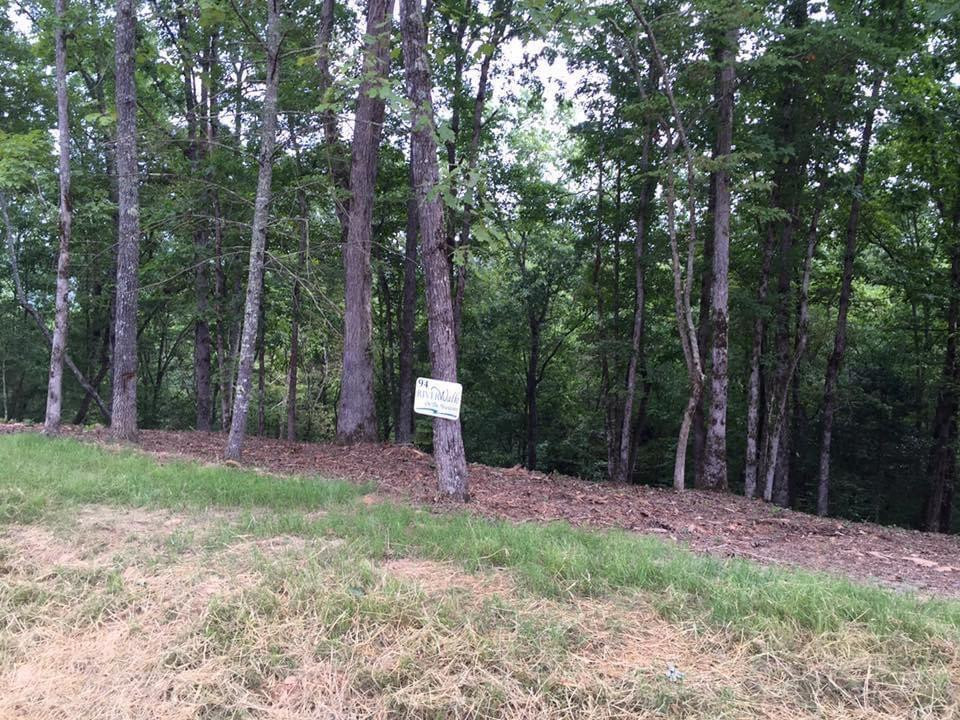 Lot #94 River Mountain Road Murphy, NC 28906 - Photo 6 of 12