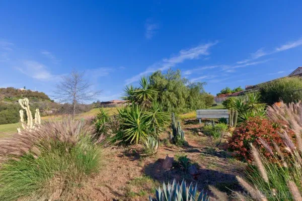 a view of a yard with an outdoor space