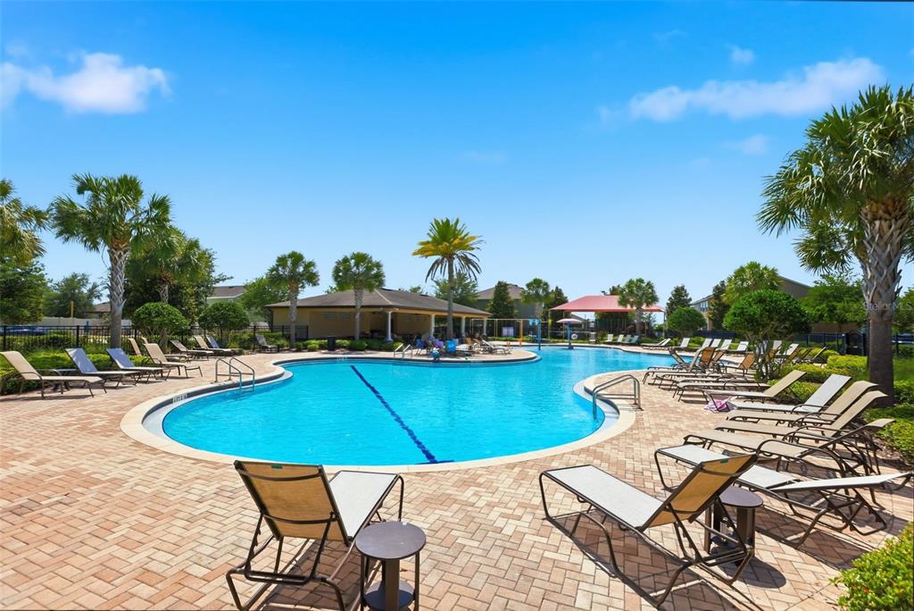1433 Shira Road Minneola, FL 34715 - Photo 5 of 40 a view of a swimming pool with lounge chairs