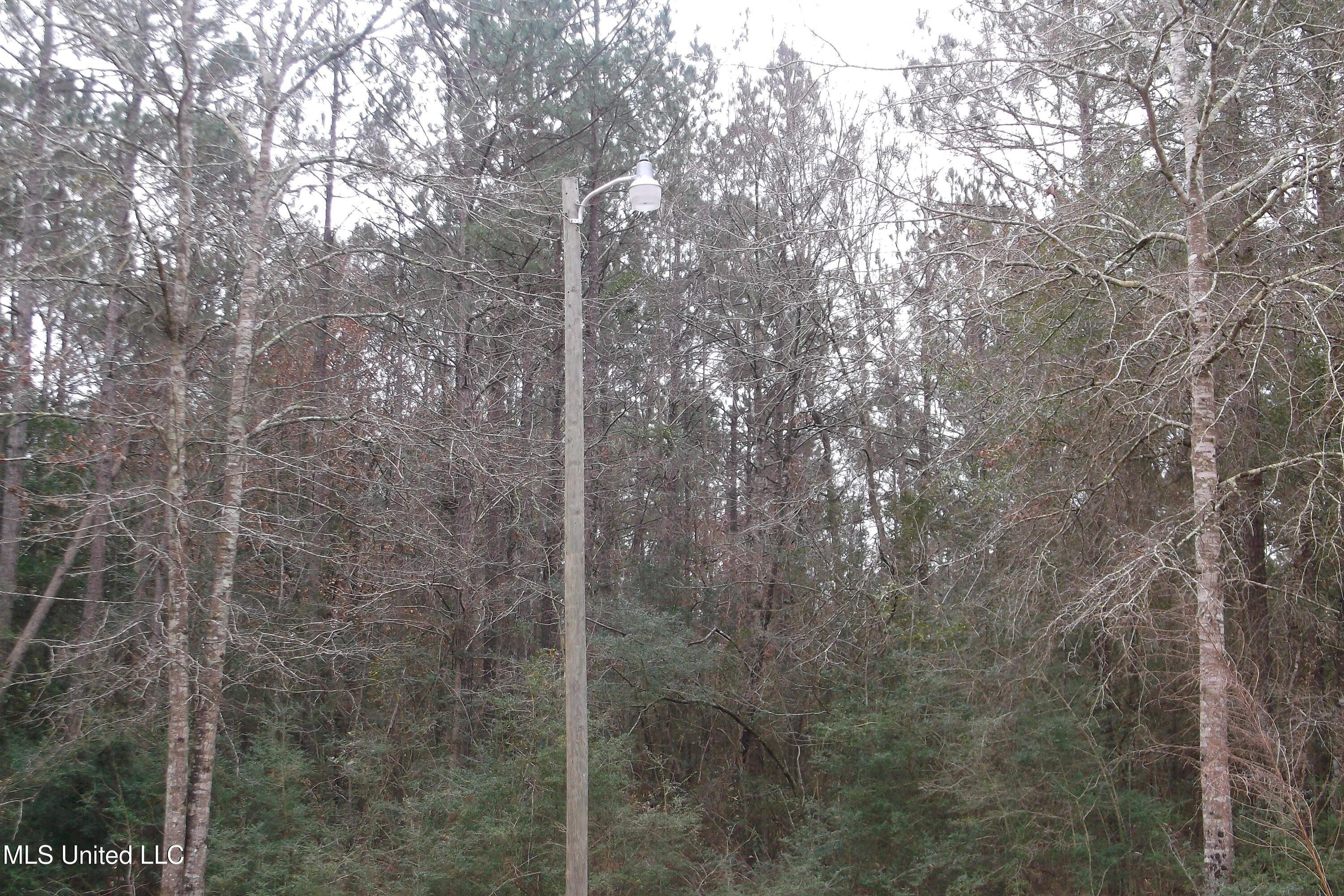 1021 Austin Smith Road Ruth, MS 39662 - Photo 12 of 19 DSCF4673