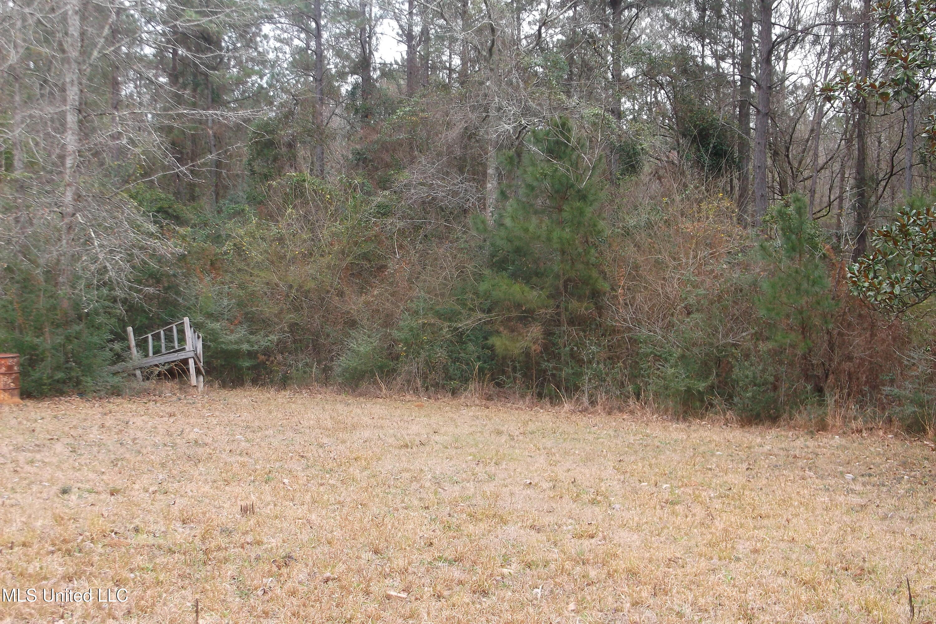 1021 Austin Smith Road Ruth, MS 39662 - Photo 13 of 19 DSCF4675
