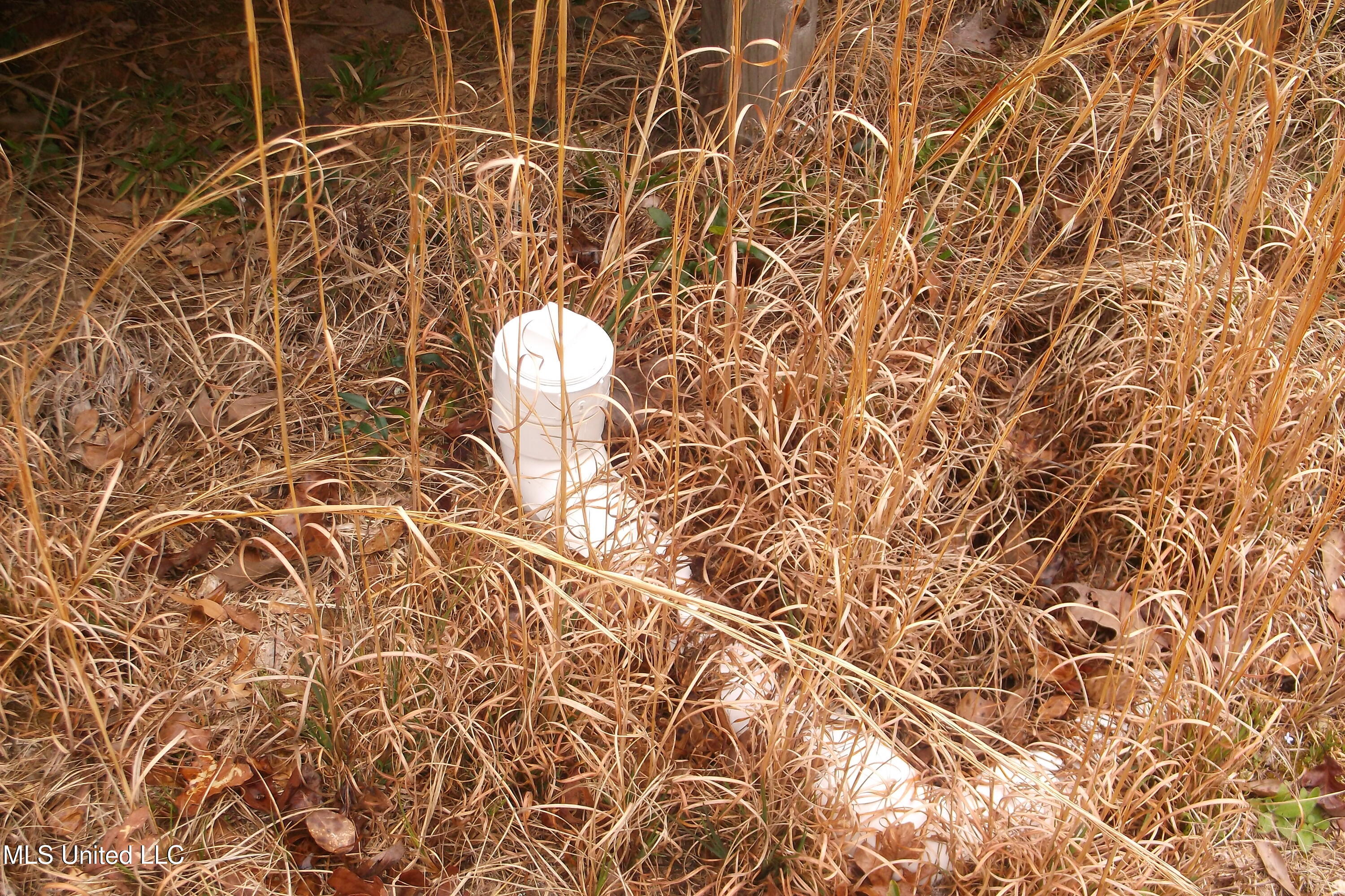 1021 Austin Smith Road Ruth, MS 39662 - Photo 15 of 19 DSCF4679