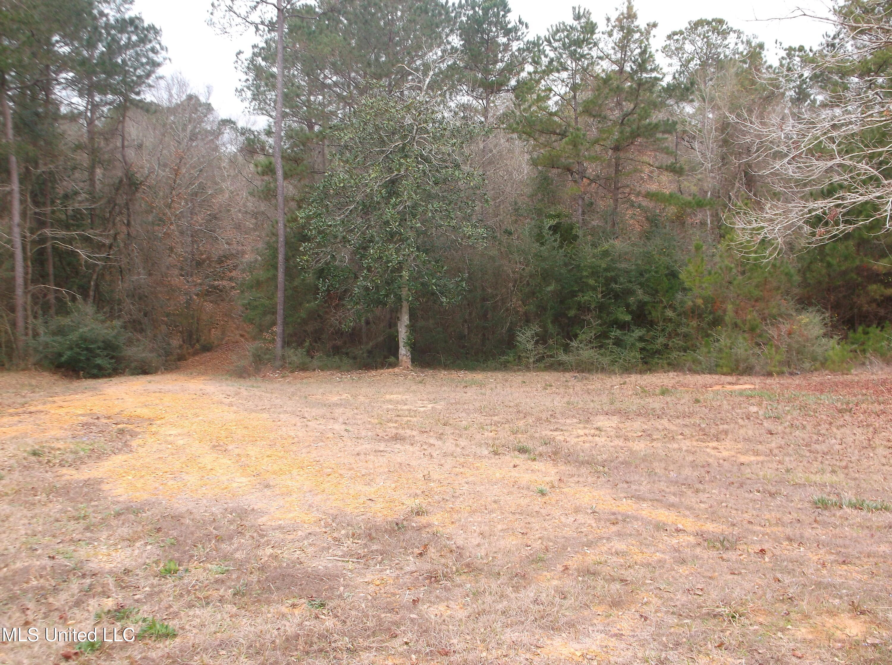 1021 Austin Smith Road Ruth, MS 39662 - Photo 16 of 19 DSCF4682