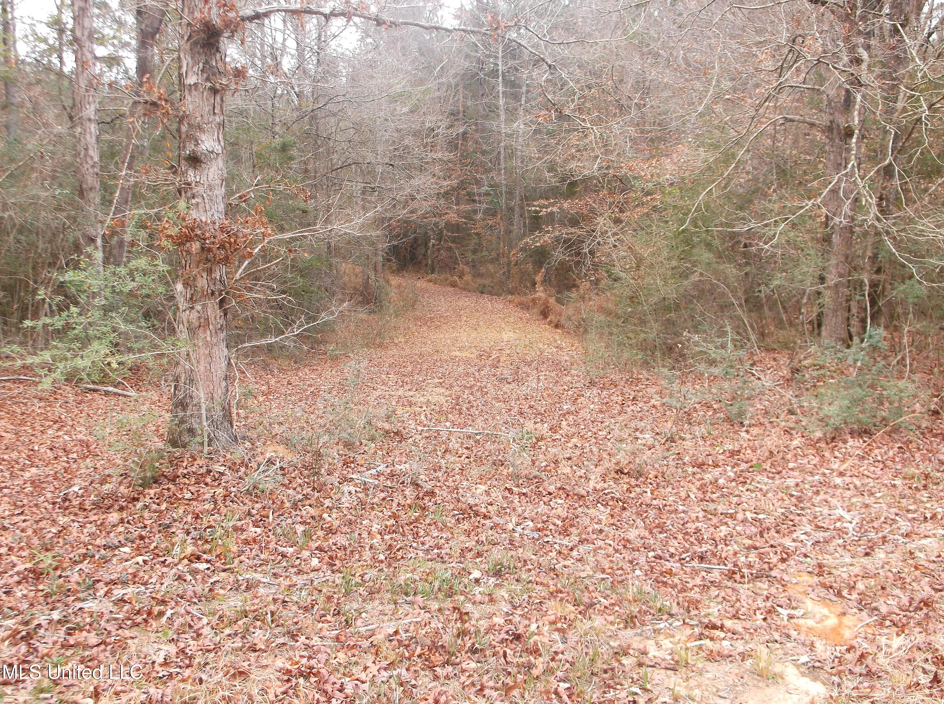 1021 Austin Smith Road Ruth, MS 39662 - Photo 17 of 19 DSCF4683