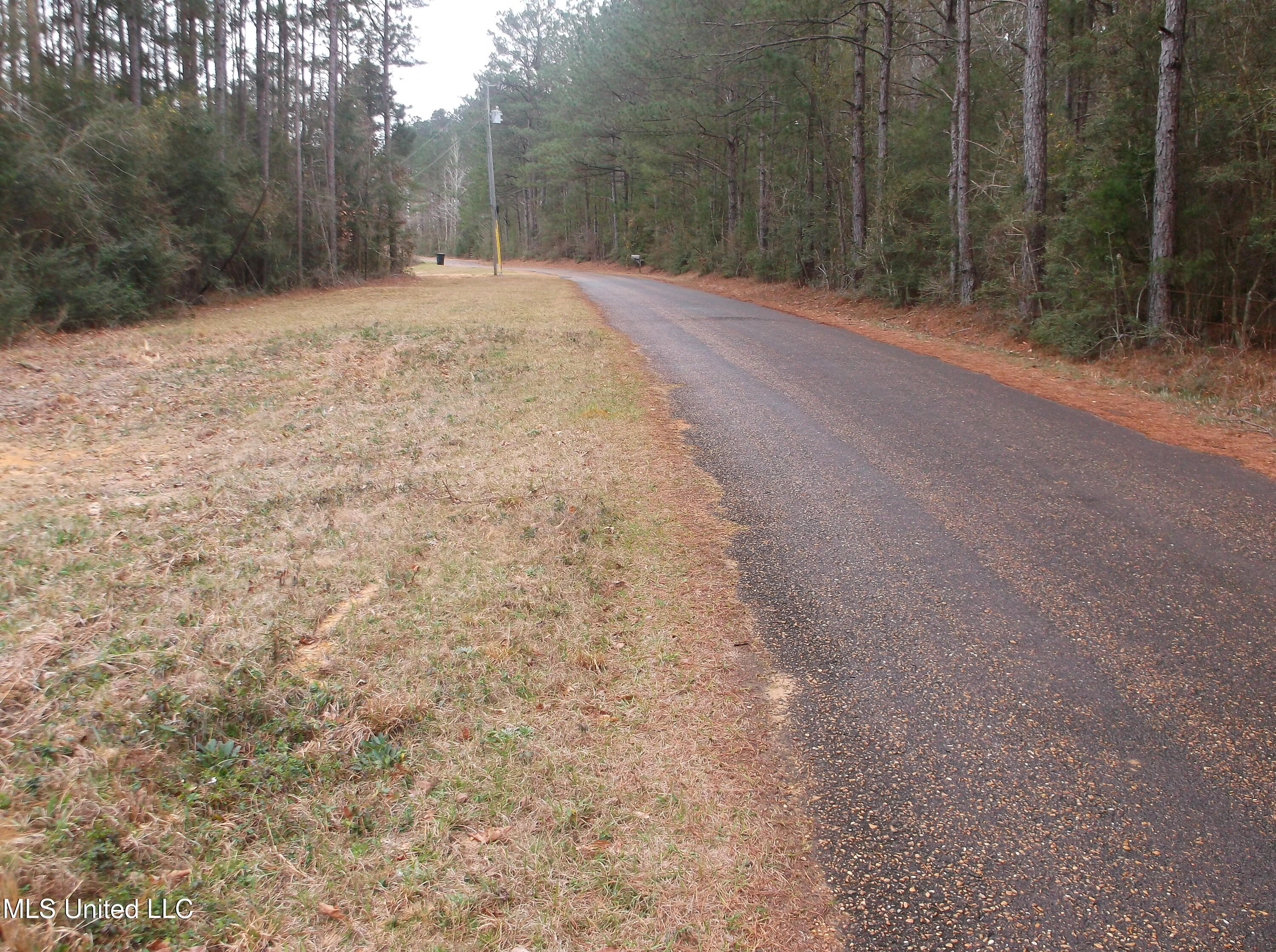1021 Austin Smith Road Ruth, MS 39662 - Photo 18 of 19 DSCF4684