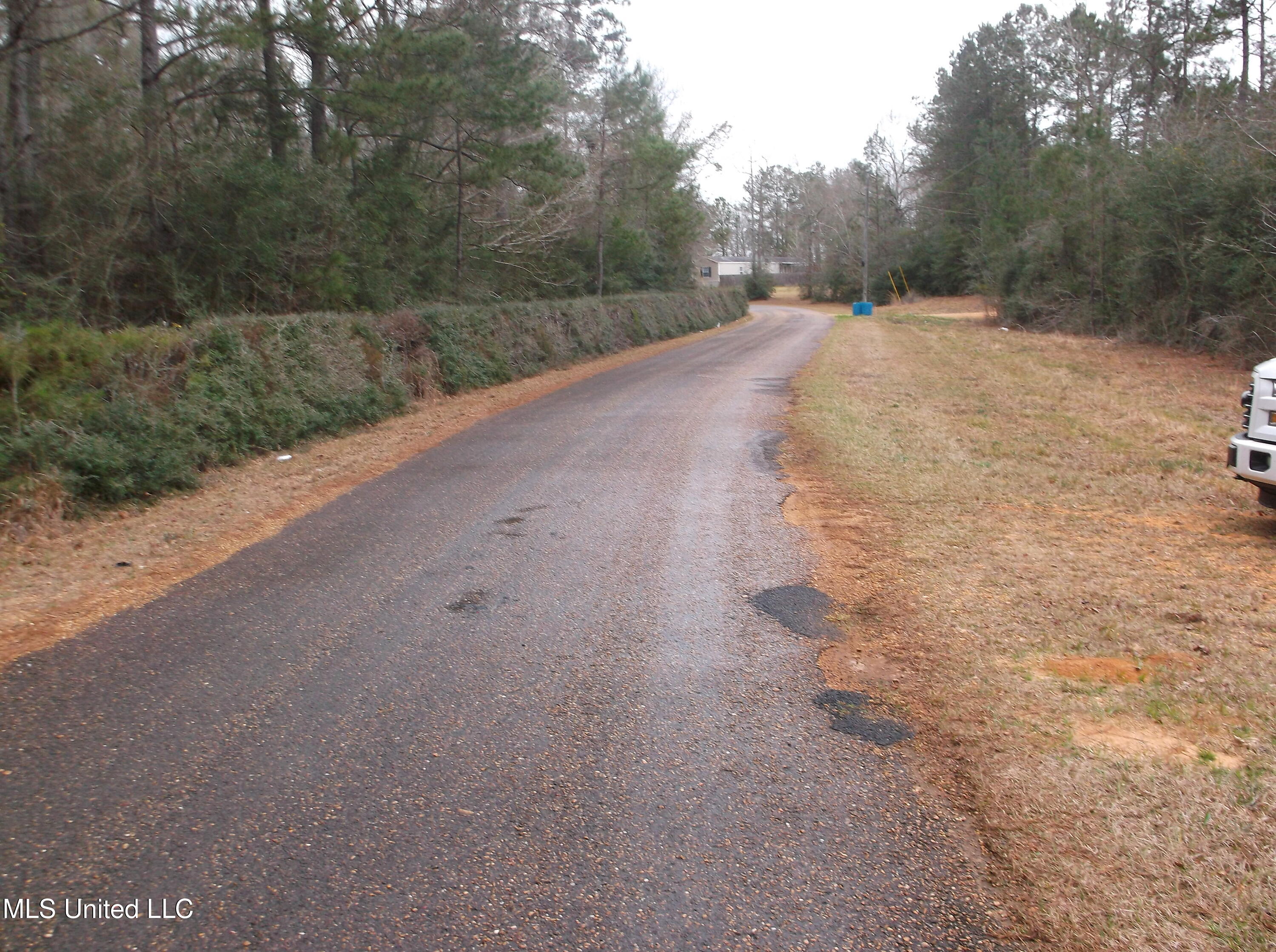 1021 Austin Smith Road Ruth, MS 39662 - Photo 19 of 19 DSCF4685