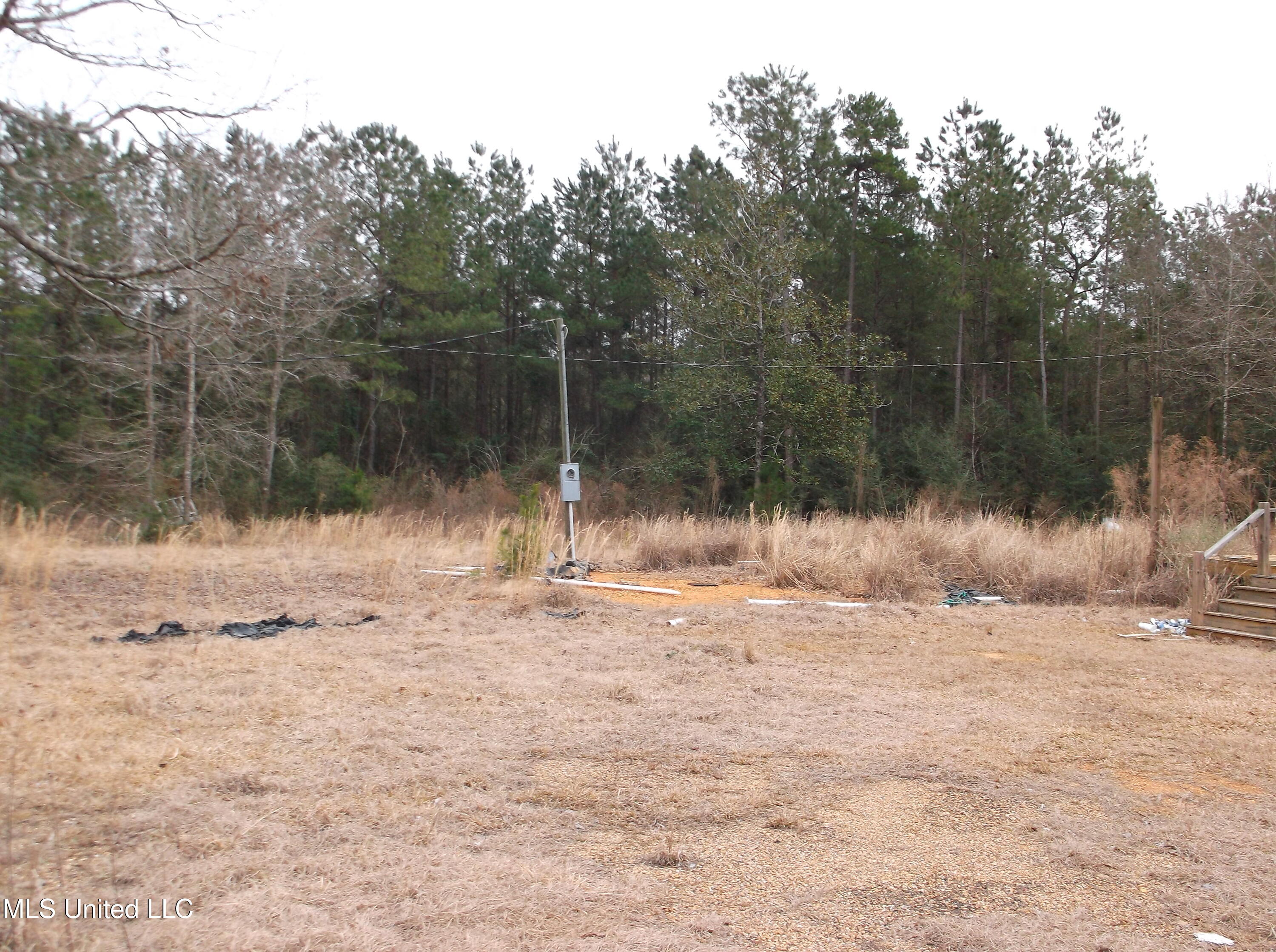 1021 Austin Smith Road Ruth, MS 39662 - Photo 2 of 19 DSCF3459