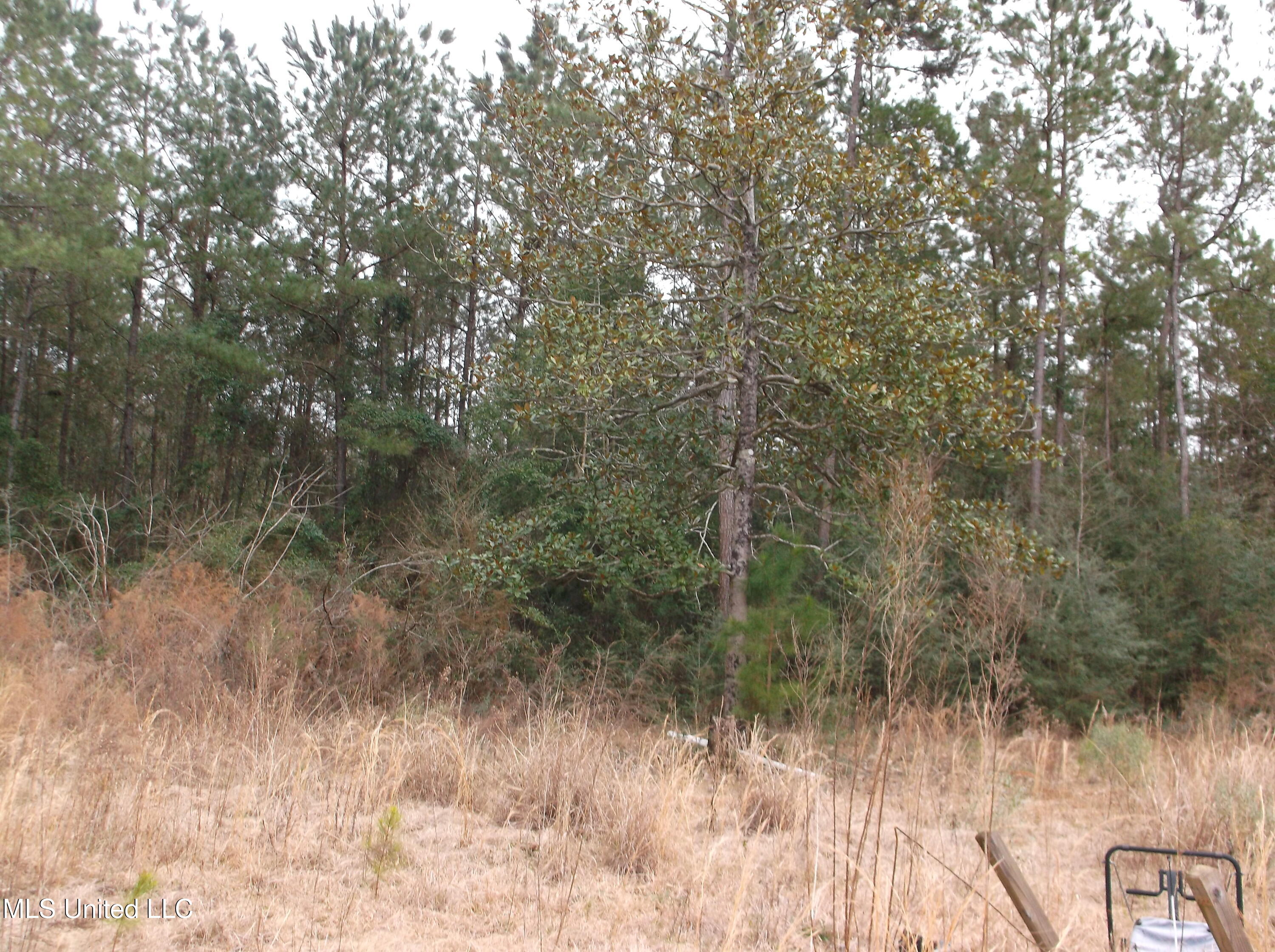 1021 Austin Smith Road Ruth, MS 39662 - Photo 5 of 19 DSCF3463