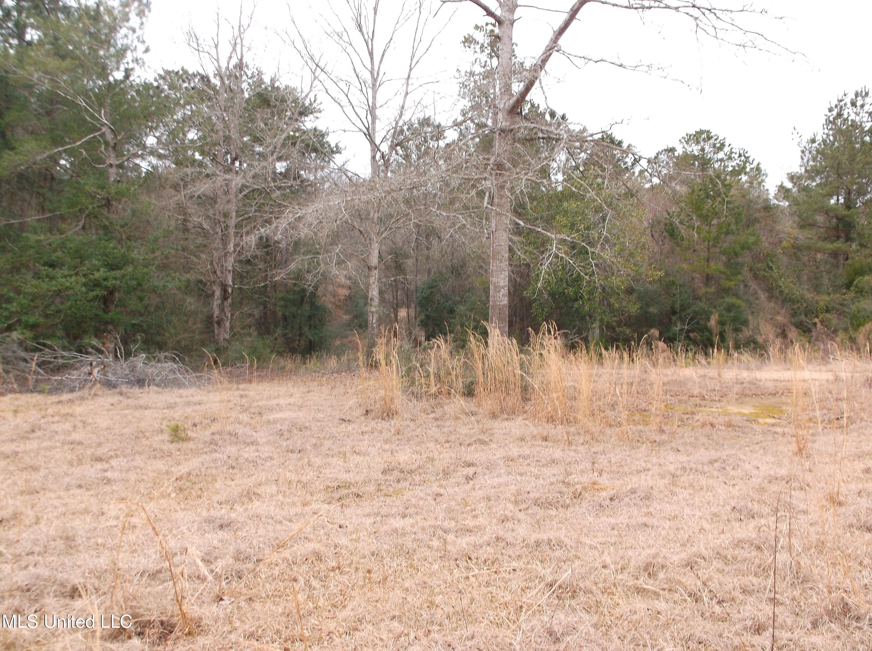 1021 Austin Smith Road Ruth, MS 39662 - Photo 7 of 19 DSCF3465
