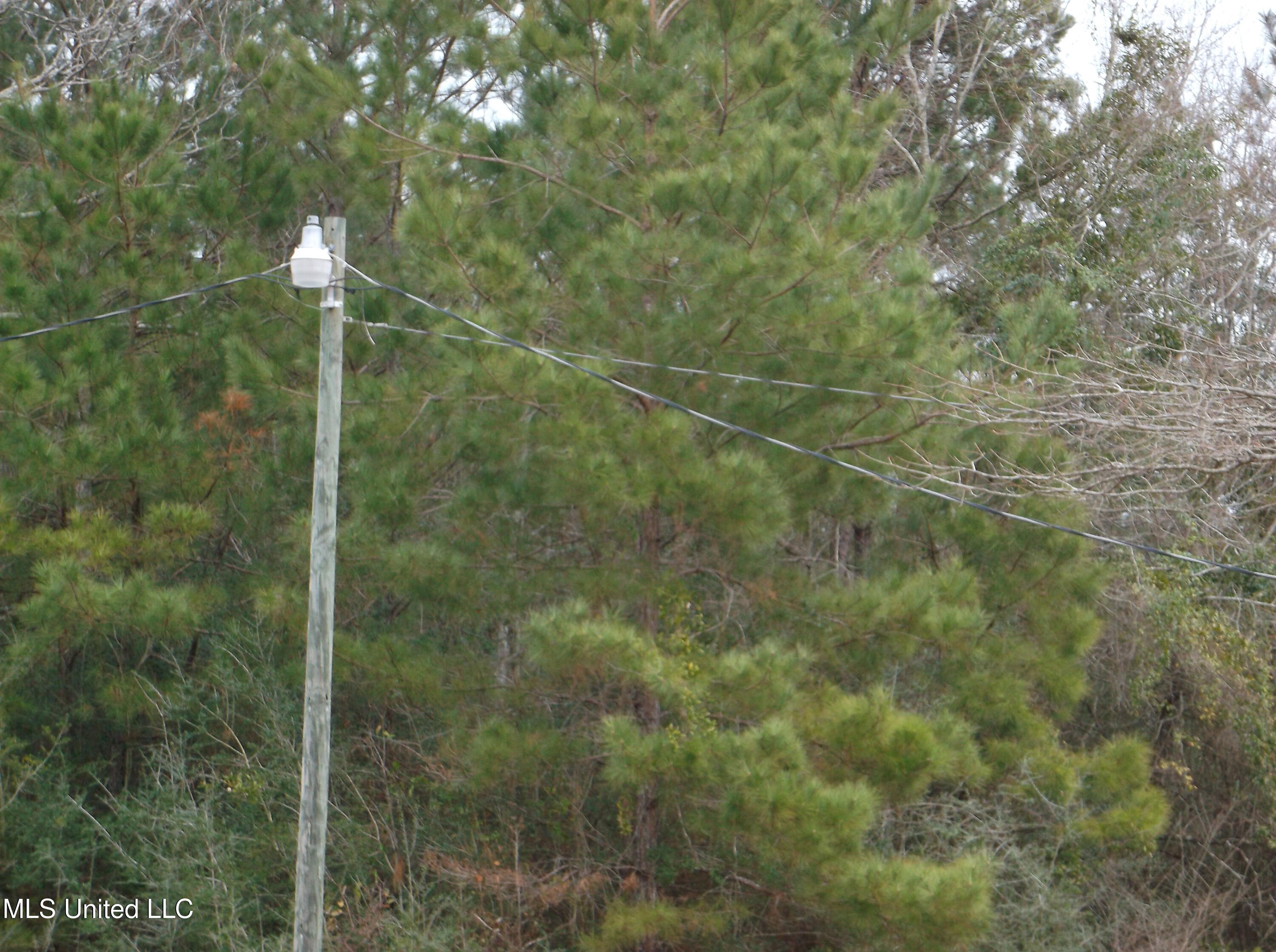 1021 Austin Smith Road Ruth, MS 39662 - Photo 8 of 19 DSCF3466