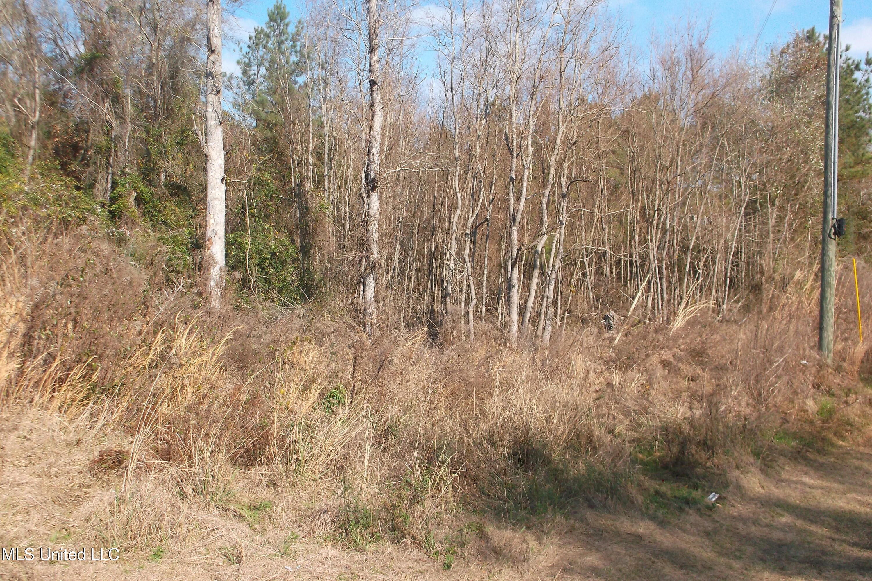 1021 Austin Smith Road Ruth, MS 39662 - Photo 9 of 19 DSCF4667