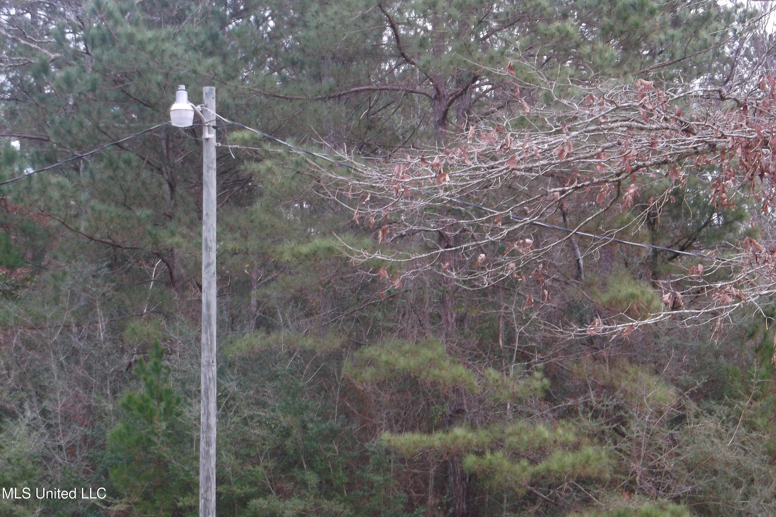 1021 Austin Smith Road Ruth, MS 39662 - Photo 10 of 19 DSCF4669