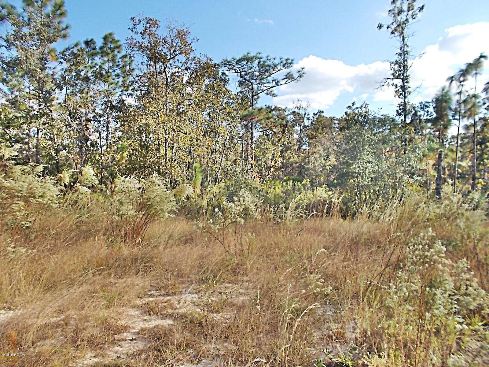 0 Potts Road Altha, FL 32421 - Photo 1 of 5 Gallery Image 1