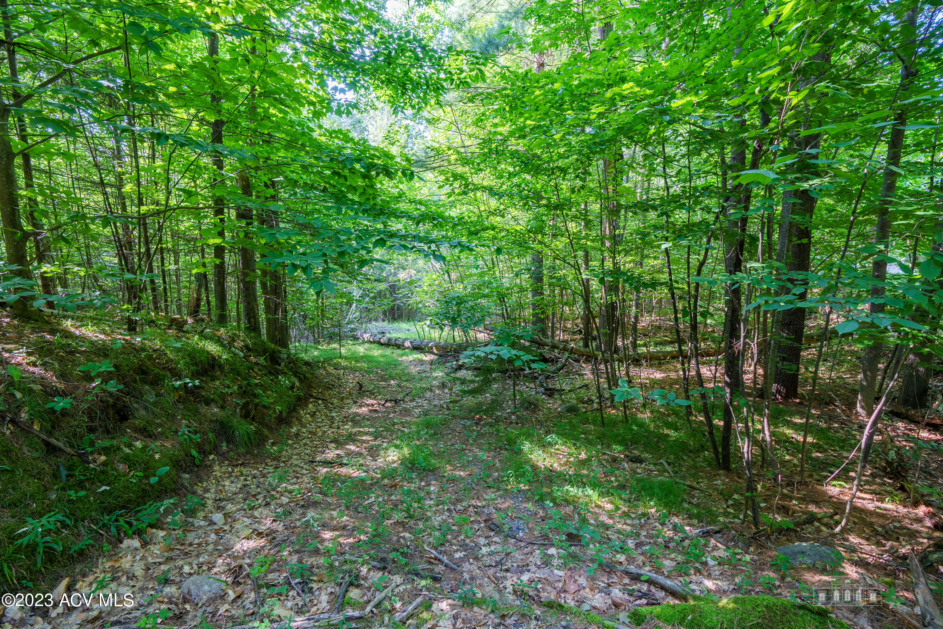 Lot A Quaker Mountain Road Wilmington, NY 12997 - Photo 6 of 10