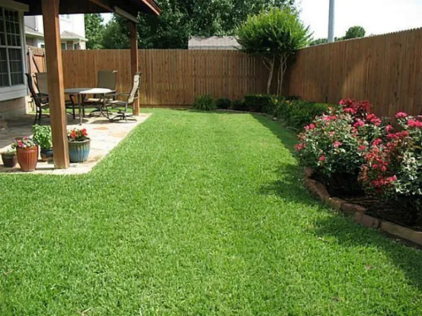 a view of a backyard with plants and a garden