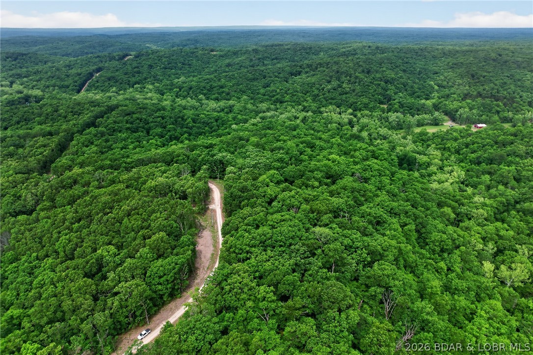 16376 Twisted Tree Road Barnett, MO 65011 - Photo 59 of 65