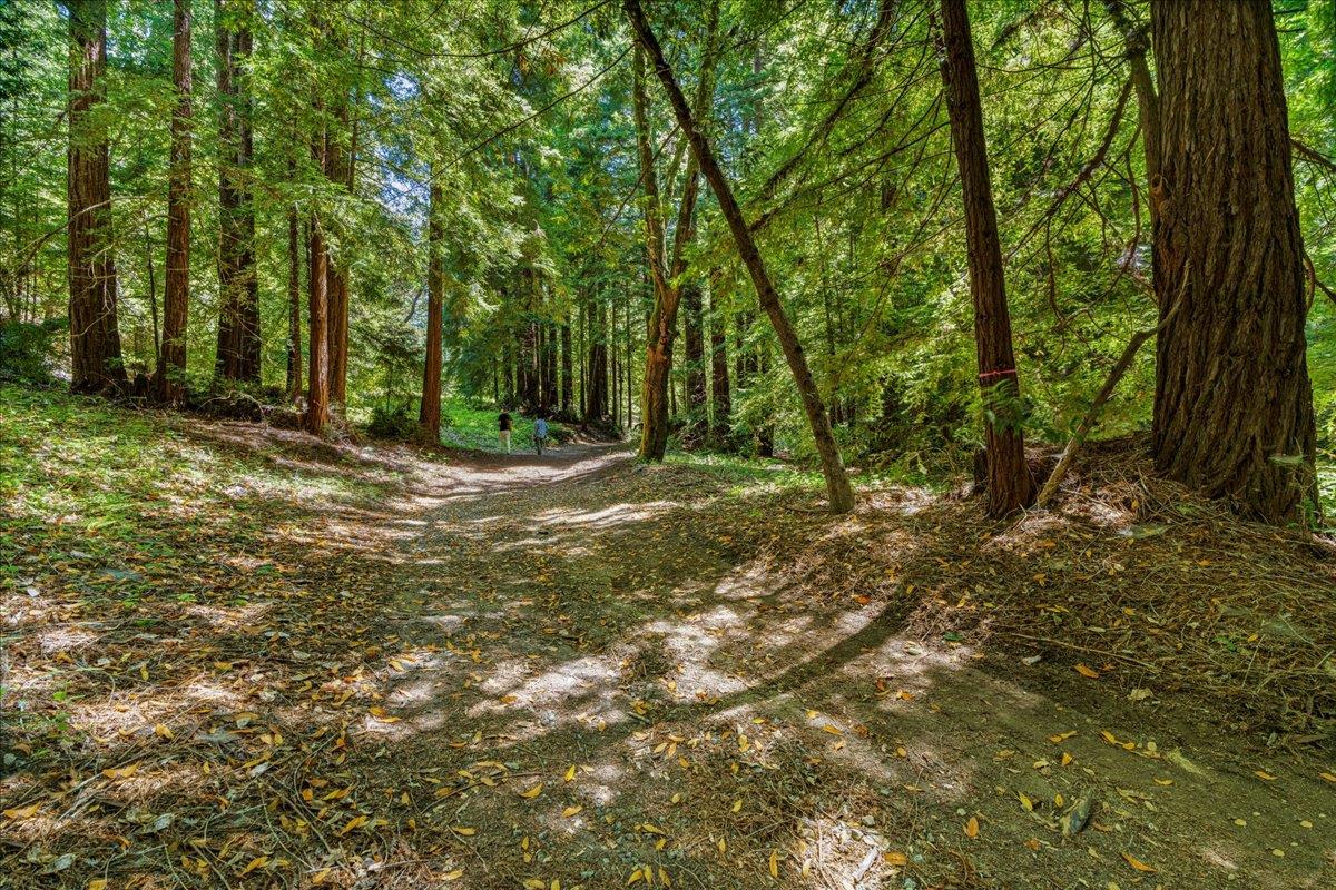 0 Hoover Road Soquel, CA 95073 - Photo 2 of 40 Gallery Image 2