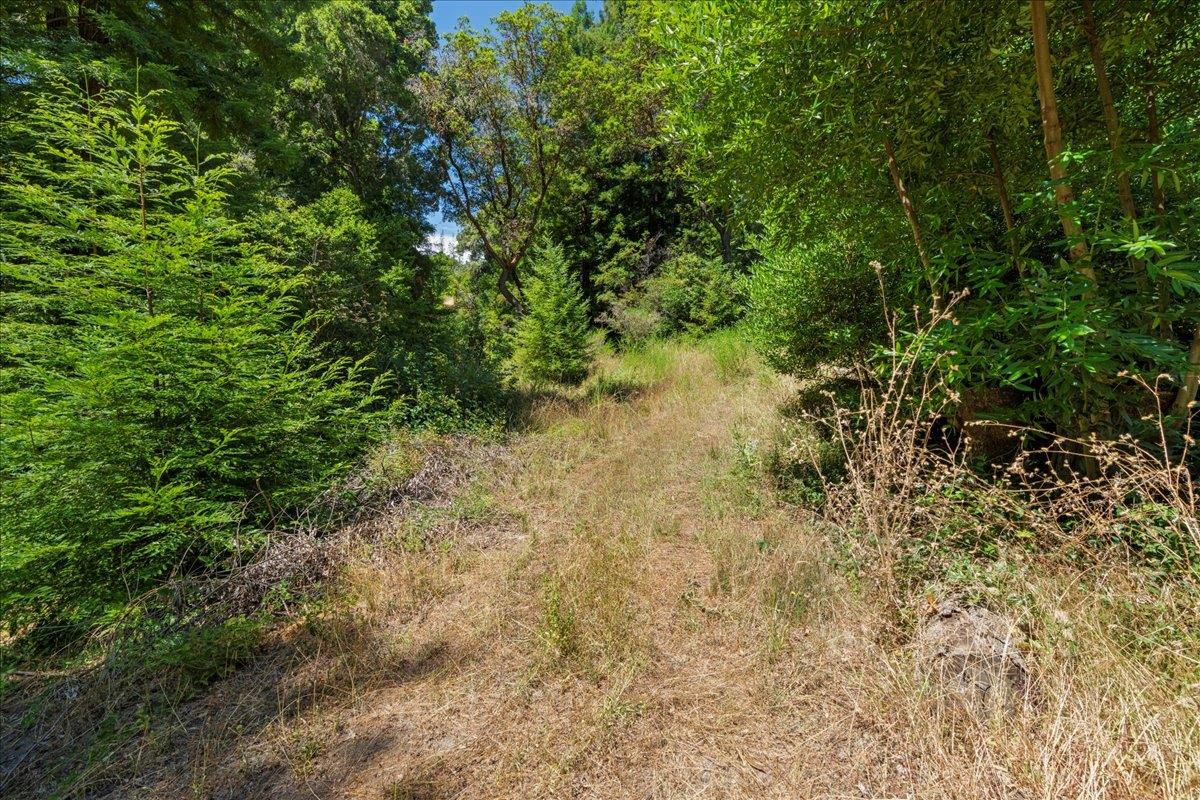 0 Hoover Road Soquel, CA 95073 - Photo 25 of 40 Gallery Image 25