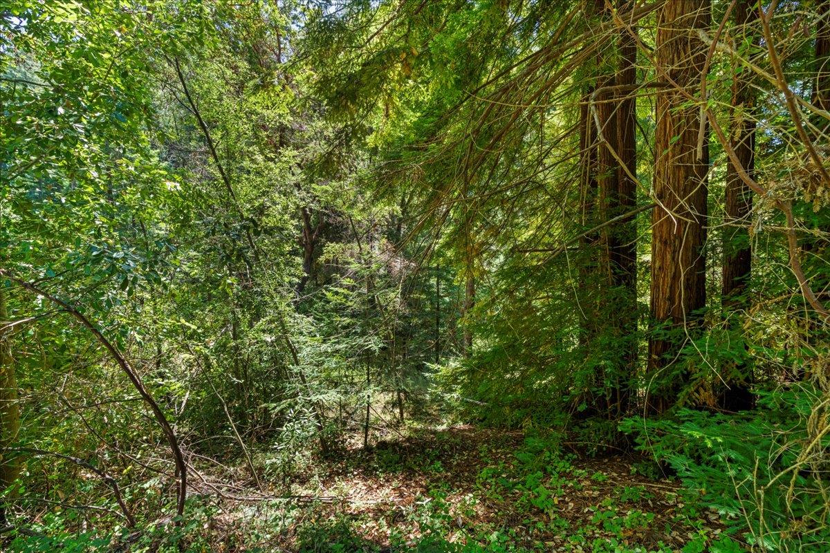 0 Hoover Road Soquel, CA 95073 - Photo 26 of 40 Gallery Image 26