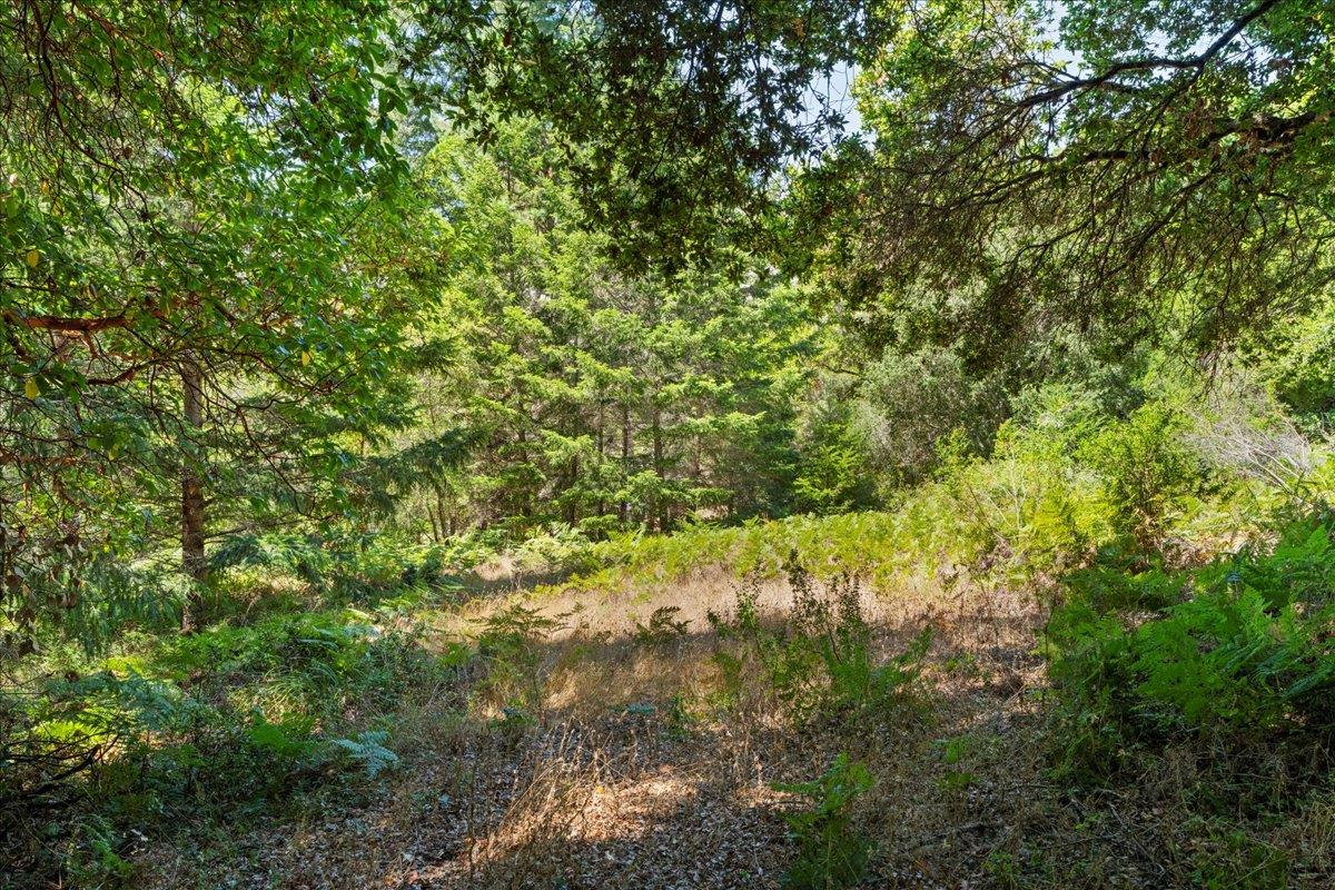 0 Hoover Road Soquel, CA 95073 - Photo 27 of 40 Gallery Image 27