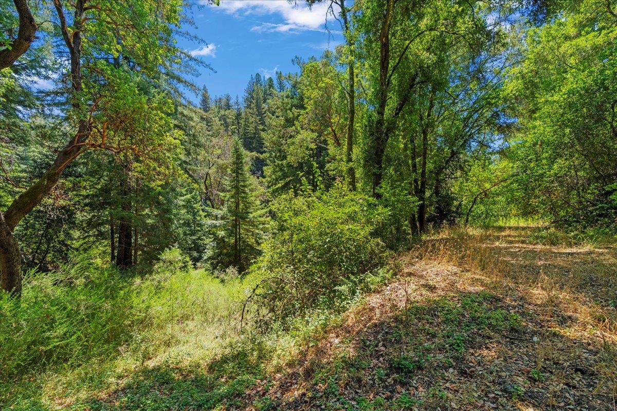 0 Hoover Road Soquel, CA 95073 - Photo 28 of 40 Gallery Image 28