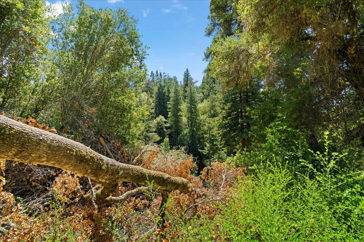 0 Hoover Road Soquel, CA 95073 - Photo 30 of 40 Gallery Image 30