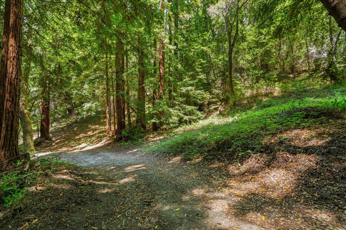 0 Hoover Road Soquel, CA 95073 - Photo 3 of 40 Gallery Image 3