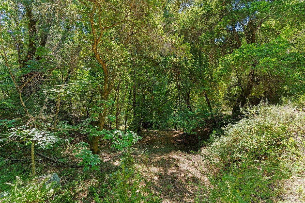 0 Hoover Road Soquel, CA 95073 - Photo 31 of 40 Gallery Image 31