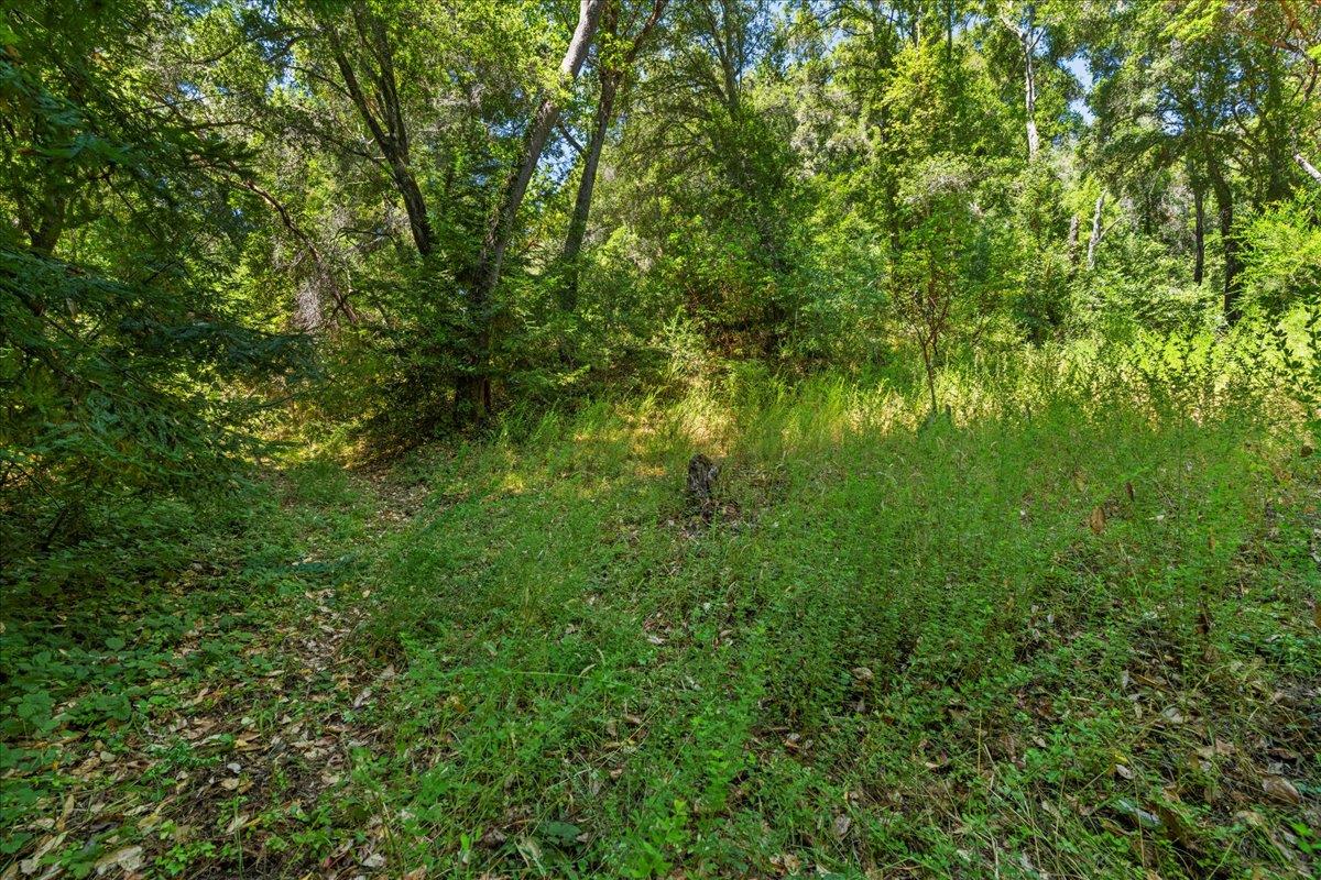 0 Hoover Road Soquel, CA 95073 - Photo 32 of 40 Gallery Image 32