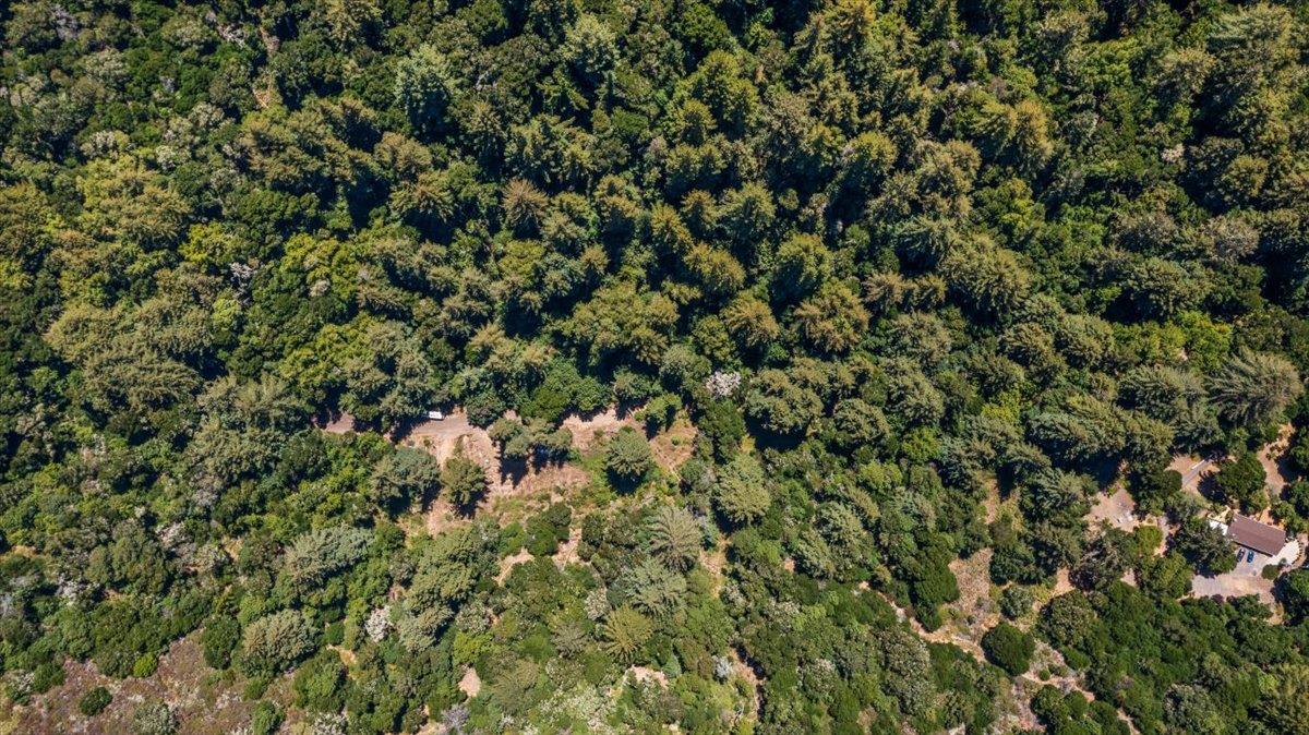0 Hoover Road Soquel, CA 95073 - Photo 33 of 40 Gallery Image 33